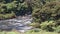 Ohinemuri river flowing through the Karangahake gorge