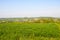 An Ohio Amish country scene