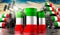 Oil barrels with flag of Kuwait and oil extraction wells - 3D illustration