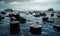 Oil barrels floating in a sea of black crude oil. environment concept