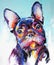 Oil dog portrait painting in multicolored tones. Conceptual abstract painting french bulldog muzzle. Closeup painting