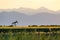 Oil field pump and mountain sunset