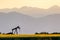 Oil field pump and mountain sunset