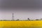 Oil and gas well rig, outlined rural canola field