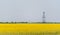 Oil and gas well rig, outlined rural canola field