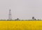 Oil and gas well rig, outlined rural canola field