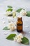 Oil of jasmine. Aromatherapy with jasmine oil. Jasmine flowers. Gray concrete background with copy space