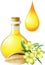 Oil of jojoba is in a bottle