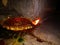 Oil lamp ,festival ,diwali ,light ,traditional ,holiday ,glow