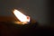 Oil lamps burning in diwali