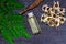 Oil of Moringa in bottle, green leaves, pods and seeds on black wooden background.