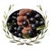 Oil olives praize award wreath leaves in green olive trees background, glass bowl