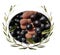 Oil olives praize award wreath leaves in green olive trees background, glass bowl