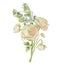 Oil painting abstract bouquet of ranunculus and eucalyptus. Hand painted floral composition isolated on white background