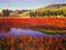 Oil Painting - Autumn Field