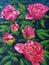 Oil Painting - Blooming Peony