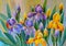 Oil Painting - bouquet of flowers irises