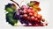 Oil Painting of Bunch of Delicious Fresh Zinfandel Grapes isolated Background AI Generative