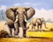 Oil Painting - Elephant