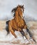 Oil painting of a horse on the prairie
