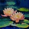 Oil painting - lotus flower, abstract drawing, impressionism