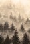Oil painting Misty landscape with pine forest