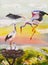 Oil painting storks feed their chicks