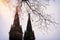 Oil painting style illustration of ancient gothic cathedral and bare trees at winter