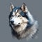 oil painting style image of a husky dog portrait, gray background