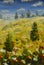 Oil painting summer landscape of a red ogange flower poppy field, blue sky clouds