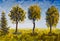 Oil painting trees in green grass against blue sky