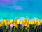 Oil painting tulips flowers. Hand paint yellow and violet tulip flowers at field with green blue sky background