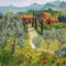 Oil painting of tuscan landscape - God is in details