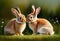 oil painting.two rabbits in love.long ears, a short tail, long hind legs