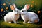 oil painting.two rabbits in love.long ears, a short tail, long hind legs