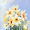 Oil painting. Yellow daffodils in the garden