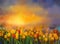 Oil painting yellow and red Tulips flowers field at sunset