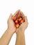 Oil palm fruit on hand