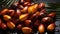 Oil palm kernel dura, tree nectar for the food and cosmetic industries. Vegetable fat or palmitic acid