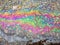 Oil Petrol Rainbow Shiny Gasoline Leak on Pavement