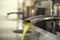 Oil is pouring from the tube at a cold-press factory after the olive harvesting