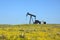 Oil Pumpjack on Prairie