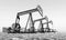 Oil pumps in a landscape in black and white