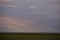 Oil refinery seen on the horizon on the wheat field at sunset