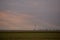 Oil refinery seen on the horizon on the wheat field at sunset