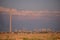 Oil refinery seen on the horizon on the wheat field at sunset