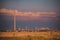 Oil refinery seen on the horizon on the wheat field at sunset. Polluting industry in the environment