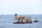 Oil rig being tugged in the sea. New oil and gas platform installed in the middle of the sea with cloudy sky.background.