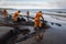 oil spill cleanup crew, removing oil from the water and cleaning of the shoreline