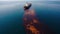 Oil spill or leakage out in the sea from ship, water ocean pollution problems, dangerous case study background, dangerous